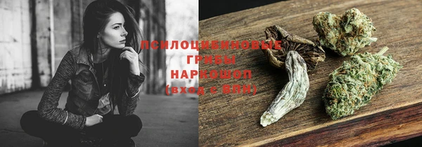 apvp Бронницы