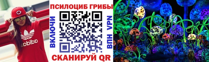 купить наркотик  Гудермес  Псилоцибиновые грибы Cubensis 